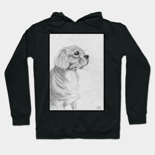 Cavalier King Charles Spaniel Hoodie